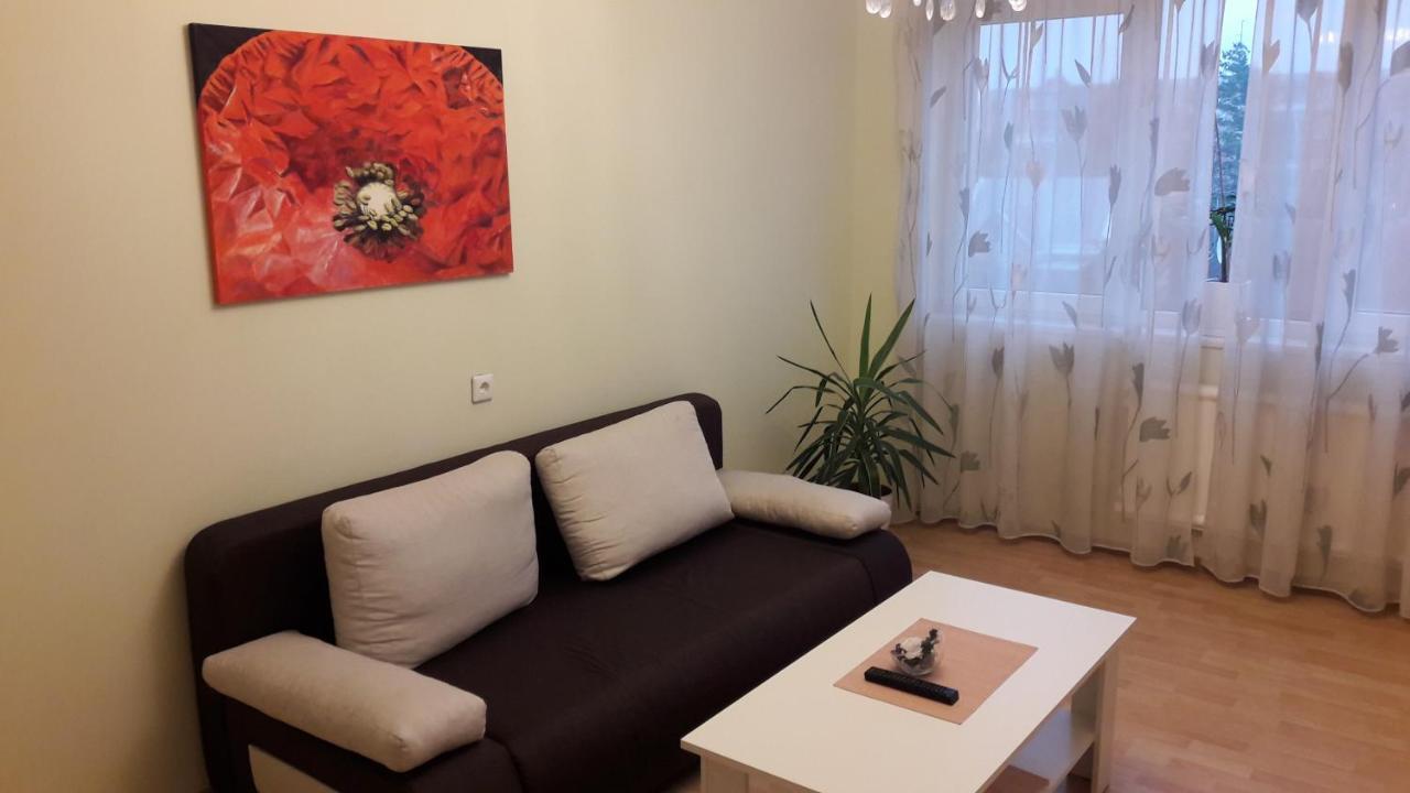 Grazinos Apartamentai Apartment Panevėžys Екстериор снимка